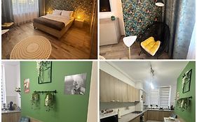 NewLevel Studio Brasov